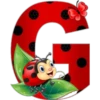 Abc catarina 23