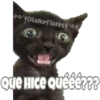 Michi preguntitas 24