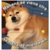 Perritos☆♡ 4 26