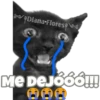 Michi preguntitas 25