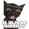 Michi preguntitas 26