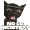 Michi preguntitas 27