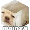 Perrito pack 3 23