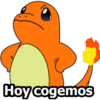 Hoy cogemos