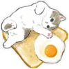 Gatitos hermosos 4 29