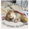 Perritos☆♡ 4 29