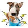 Perritos 7