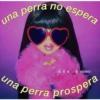 una perra no espera
una perra prospera