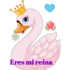 Varios animales 2 5