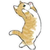 Gatitos hermosos 5 5