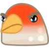 Pigeon 5
