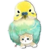 Gatitos hermosos 5 6