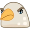 Pigeon 7