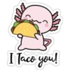 I Taco you!