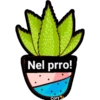 Cactus kawaii 7