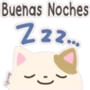 Gatitos Variados 7