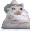 Gatitos Sad 5