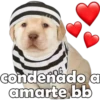condenado a amarte bb