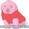 soi pepala serdita