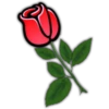Rosas (Flores) 5