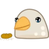 Pigeon 8