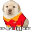 Oxxo no hai sistema