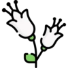 цветы 8