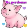 Varios animales 2 14