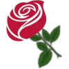 Rosas (Flores) 7