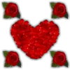 Rosas (Flores) 8