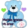 Varios animales 2 15