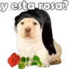y esta rosa?