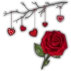 Rosas (Flores) 9