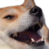 Yayaya 5