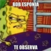 BOB ESPONJA
3 TE OBSERVA