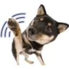 Perritos 12