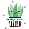 Cactus kawaii 13