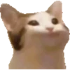 Yayaya 6