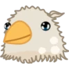 Pigeon 11