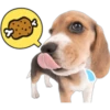 Perritos 14