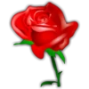 Rosas (Flores) 11