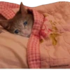 Gatitos Sad 11