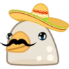 Pigeon 13