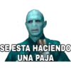 Harry Potter Bananero 9