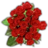 Rosas (Flores) 12
