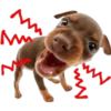 Perritos 15