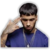 Anuel(sin frases) 10