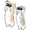 Gatitos hermosos 5 10