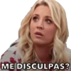 The Big Bang theory 16
