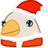 Pigeon 14